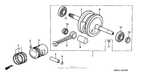XR50R Коленчатый вал и поршни
