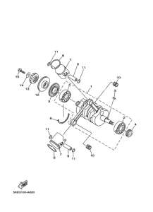 TZ250 Коленчатый вал и поршни