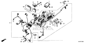 CTX700 DCT Жгут проводов