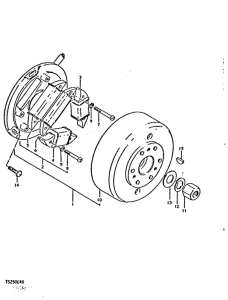 TS250 Зажигание