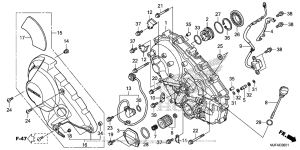 CTX700 DCT Right Crankcase Cover (2)