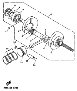 XC125 Ciguenal. pistun