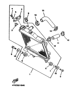 TZR50 Radiator. hose