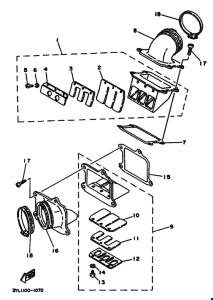 TZ250 Впускная система