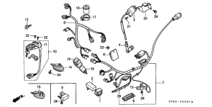 PK50 Wire harness /  ignition coil