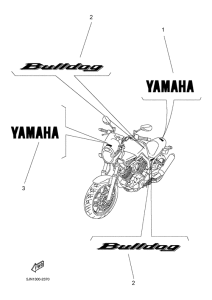 BT1100 Graphic, emblem