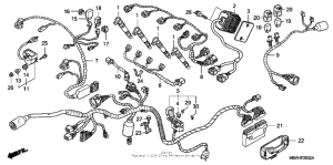  Wire harness ('04-'06)