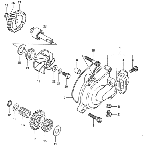 RG250 Водяная помпа