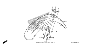  Переднее крыло