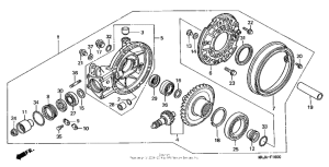 ST1100 Final driven gear (1)