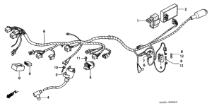 NSR75 Wire harness /  ignition coil