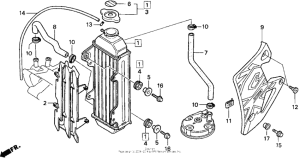 CR80R Радиатор