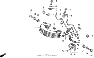XR250R Масляный картер
