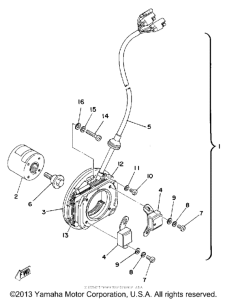 TZ250F C - d - i - magneto