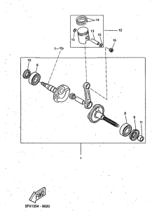 CW50 Ciguenal. pistun