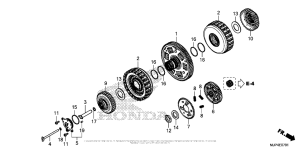 CRF1000D (ABS) Clutch (2)