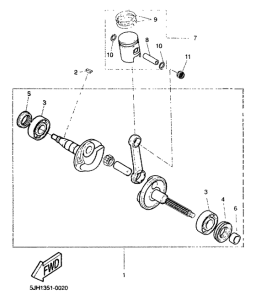 EW50 Ciguenal piston