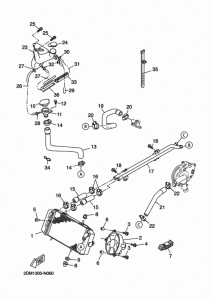 YP125RA (ABS) Radiator & hose