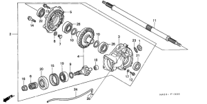 ATC250ES Final driven gear /  rear axle shaft