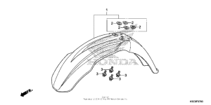  Переднее крыло