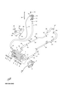 YP125R Radiator & hose