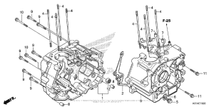 CMX250X Картер двигателя