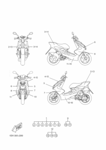 YQ50 Graphic & emblem
