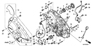 CTX700N DCT Right crankcase cover (2)