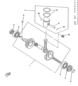 CW50RS Ciguenal. pisttn