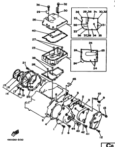 TRX850 Crankcase cover ass`y  (v