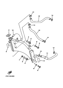 TZ250 Радиатор и шланг