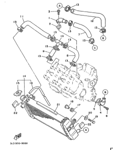 TZ250 Radiator. hose