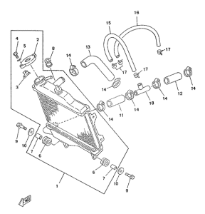 TZR50 Radiator. hose