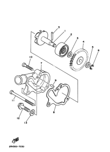 SDR ｳｵ-ﾀﾎﾟﾝﾌﾟ