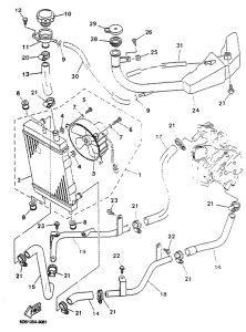 YP125R Радиатор