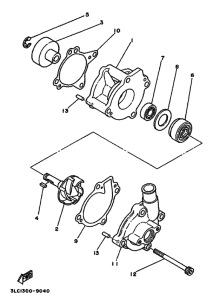 TZ250 Водяная помпа