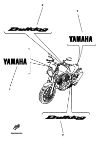 BT1100 Графический и фирменный знак