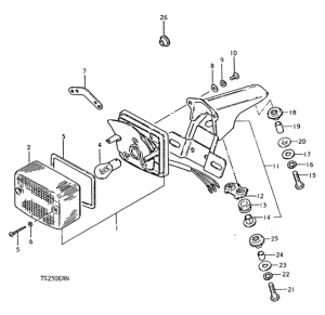 TS250 Задний комбинированный сигнал