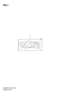 GZ250 Front plate seal