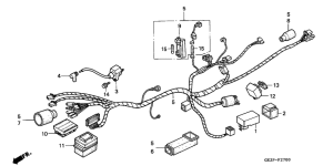 NSR50F Wire harness /  ignition coil