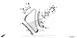  Cam Chain + Tensioner