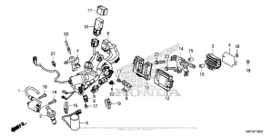  Жгут проводов