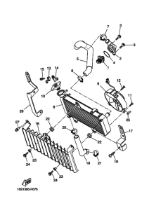 XT660X Radiator & hose