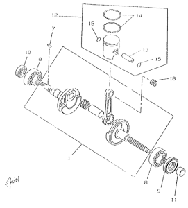CW50RS Ciguenal. pisttn