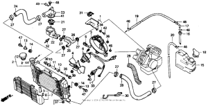 VTR250 Радиатор