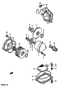 DR800 Oil pump-fuel pump
