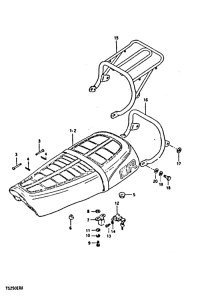 TS250 Пружина