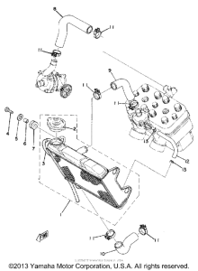 TZ250F Радиатор