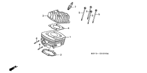 SH50 Cylinder / cylinder head