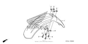  Переднее крыло
